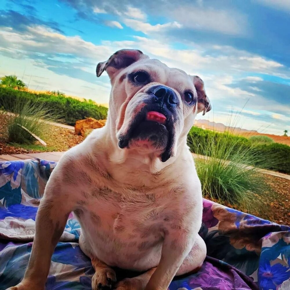 Meet your Posher, Wendy